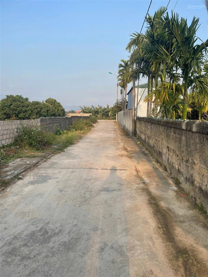 Cc gửi bán đất tràng bảng 1 giá thương lượng