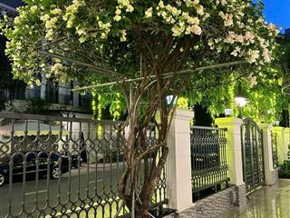 10100tr quỹ căn cho thuê biệt thự vinhomes ocean park gia lâm