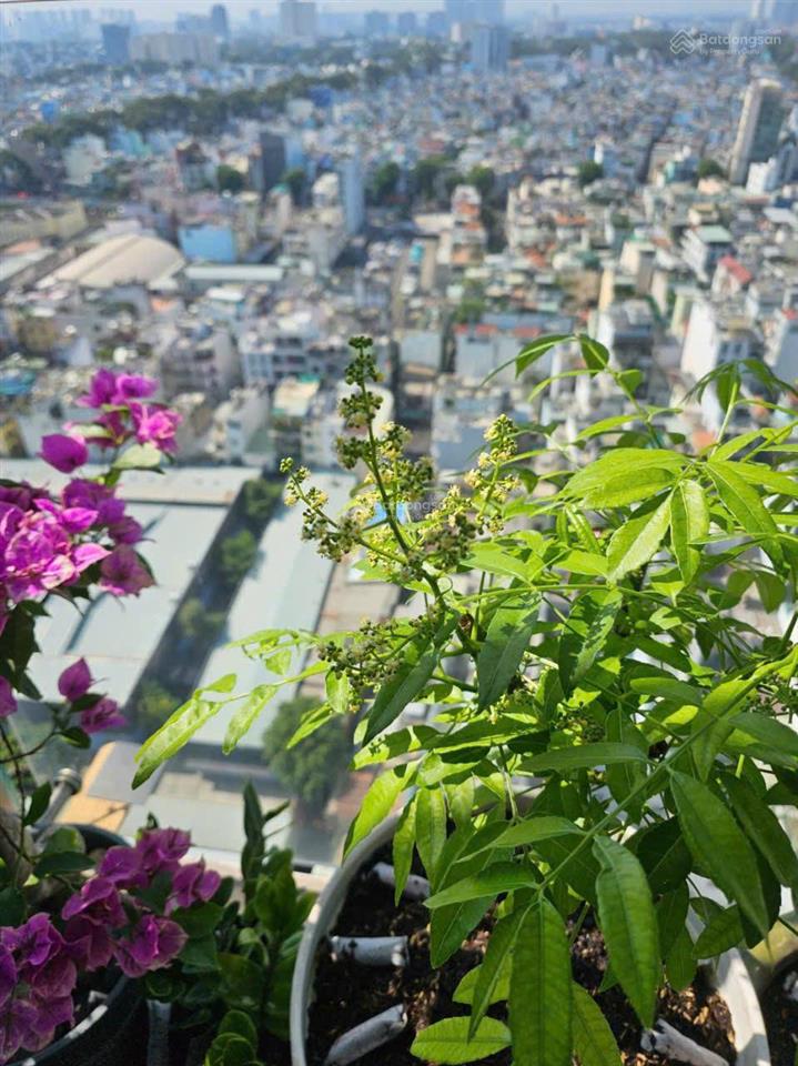 Hot hiếm ! chính chủ cần bán căn hộ rivera park sg  63m², 2pn, giá chỉ 5.25 tỷ t/l  view đn, q1