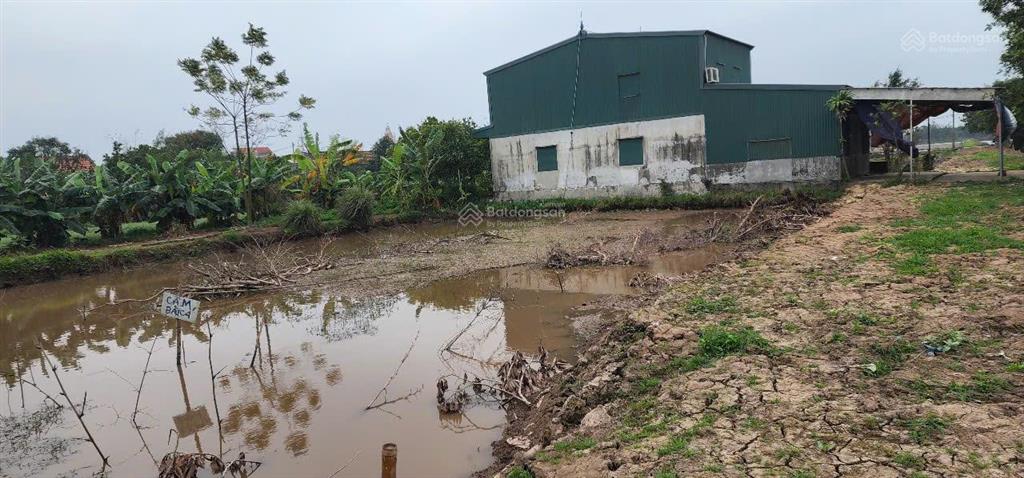 Bán 125m2 đất hạ linh  xuân ngọc  xuân trường  nam định