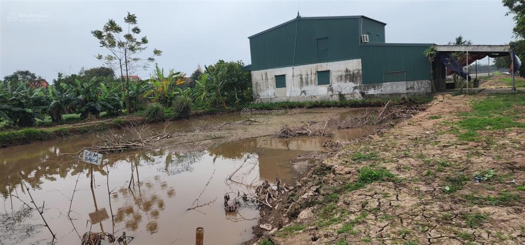 Bán 125m2 đất hạ linh  xuân ngọc  xuân trường  nam định