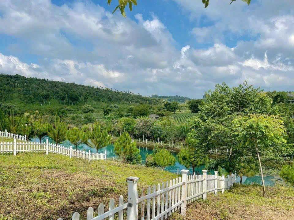 Gấp bán đất view hồ làng omm phường 2, bảo lộc