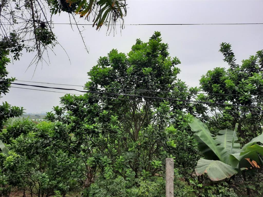 Bán đất thôn 1 xã vạn phúc  thanh trì
