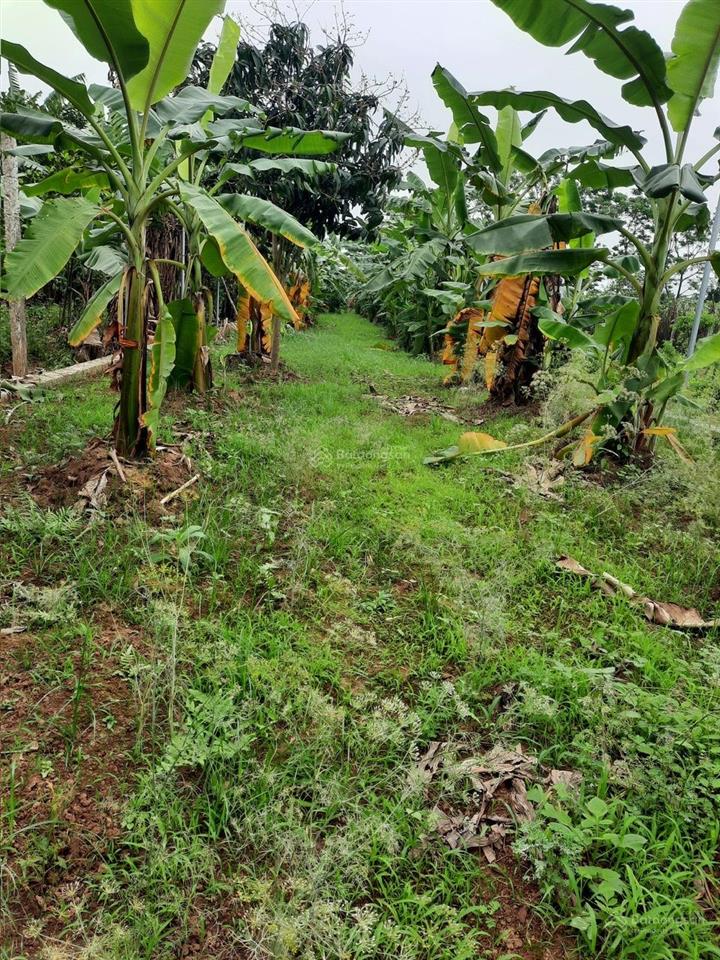 Bán đất thôn 1 xã vạn phúc  thanh trì