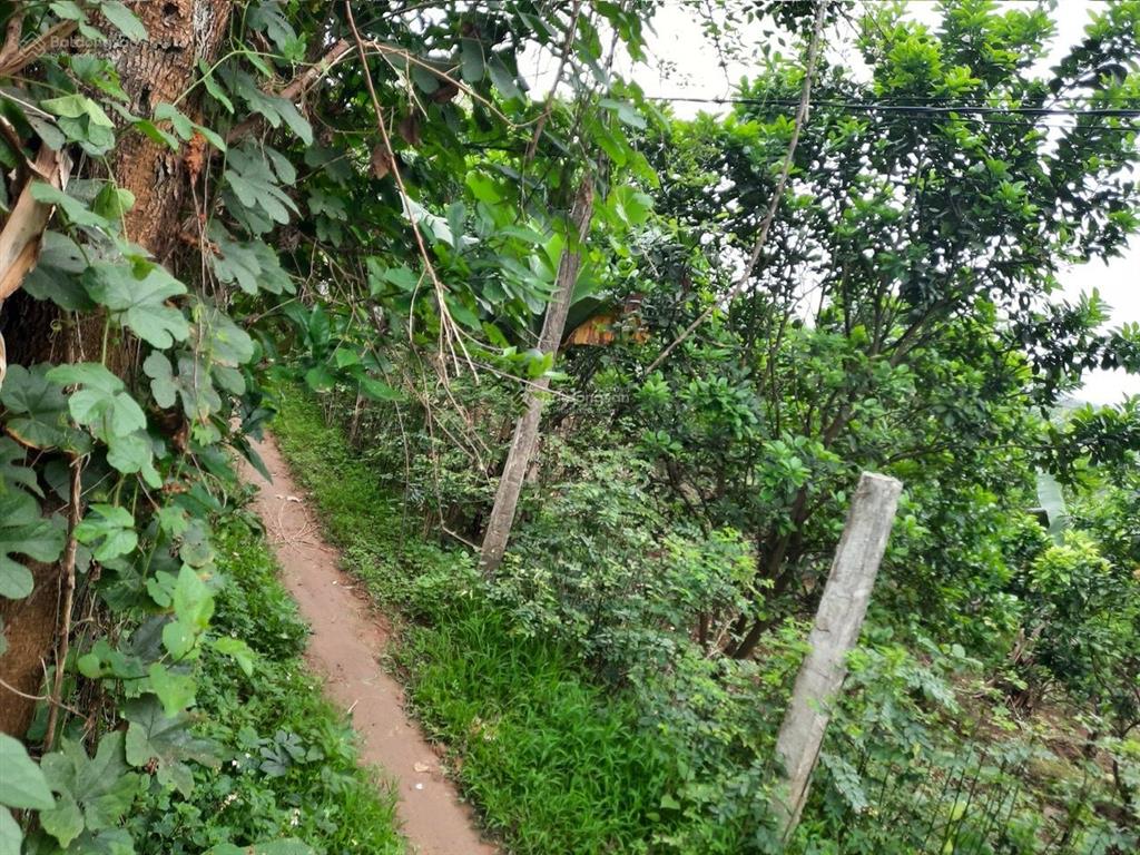 Bán đất thôn 1 xã vạn phúc  thanh trì