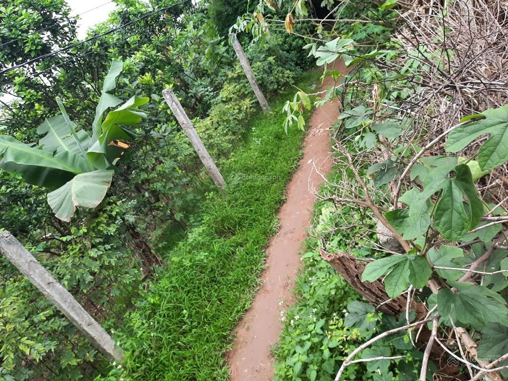 Bán đất thôn 1 xã vạn phúc  thanh trì