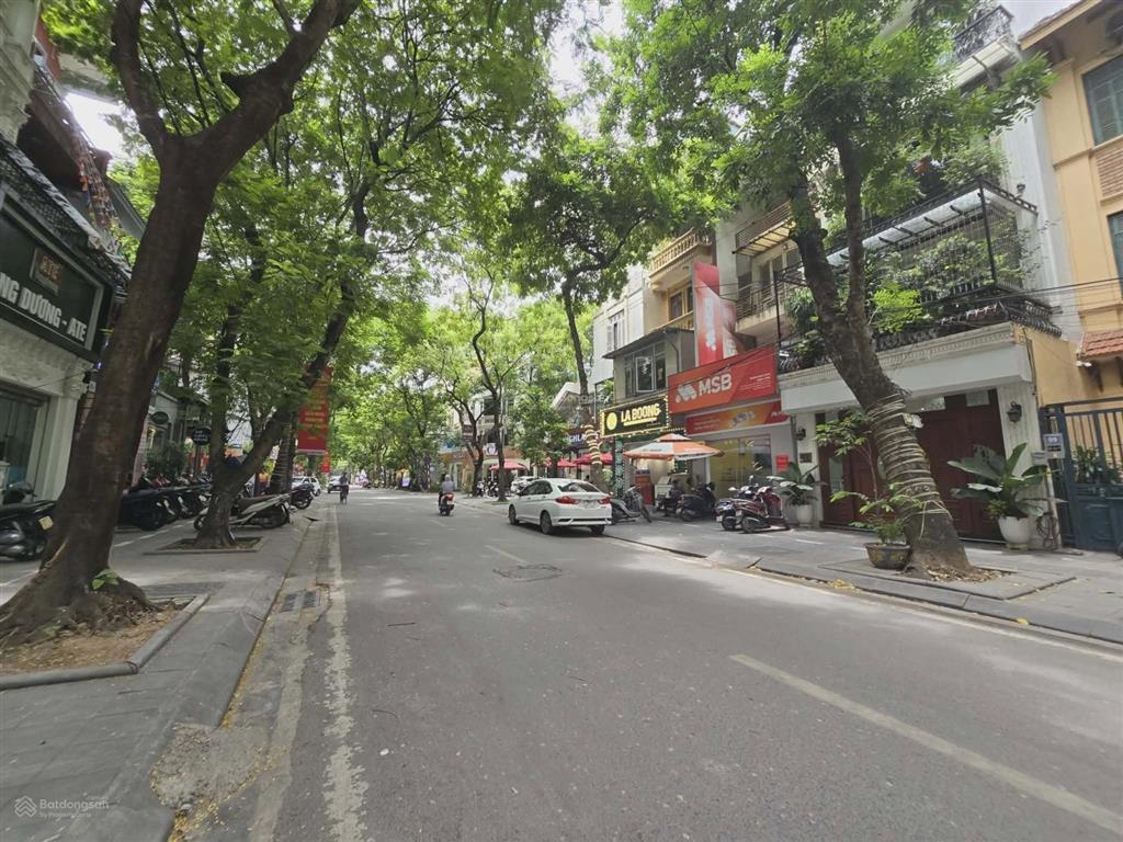 Mặt phố trần nguyên đán lô góc 22m mặt tiền 100m2, vỉa hè rộng siêu phẩm kinh doanh