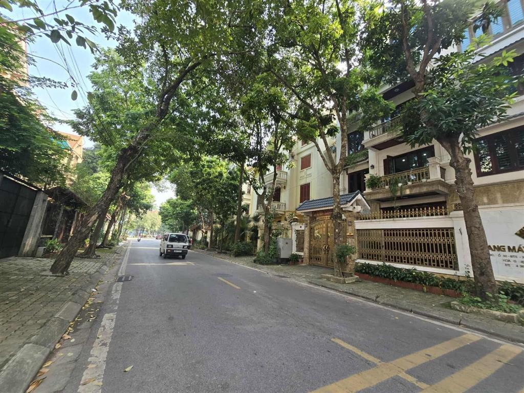 Biệt thự bắc linh đàm  310m  mt 16m  4 tầng  cách nguyễn hữu thọ 30m  gần hồ  66 tỷ