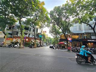 Bán nhà mặt phố trần nguyên đán lô góc 100m, mặt tiền 22m, 5 tầng 69 tỷ