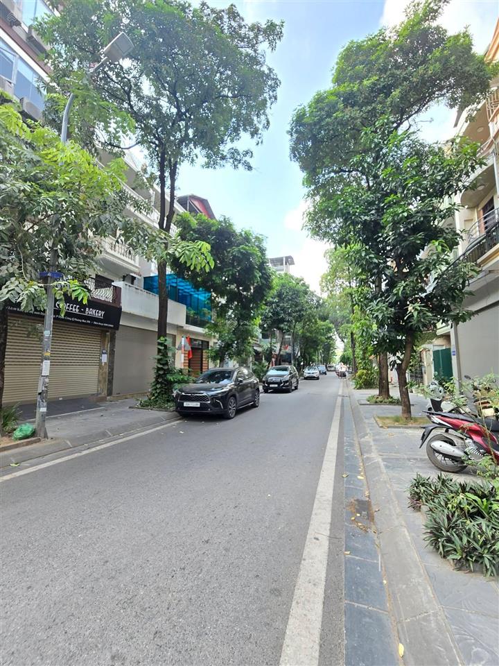 Biệt thự kđt định công  150m  mặt tiền 10m  gara ô tô  48.8 tỷ