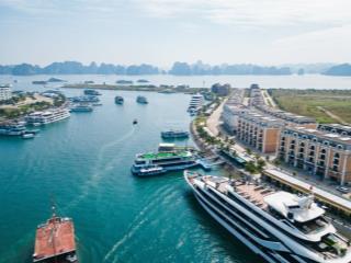 Trí đại [tổng kho chuyển nhượng ] quỹ căn liền kề tuần châu, mặt cảng giá 5,x tỷ đủ mọi vị trí