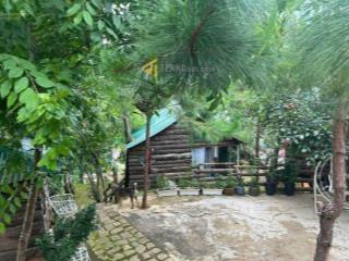 Khu homestay ngay trung tâm, cách chợ đà lạt 7km