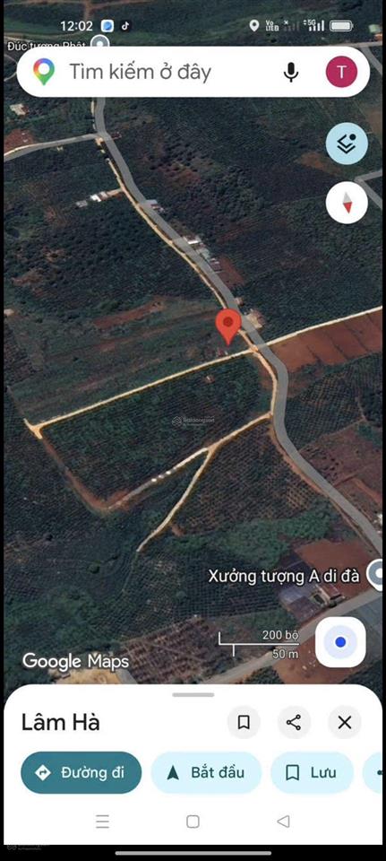 Bán 4.000m2 gia lâm, lâm hà phân lô hoặc làm farm