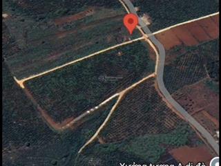 Bán 4.000m2 gia lâm, lâm hà phân lô hoặc làm farm