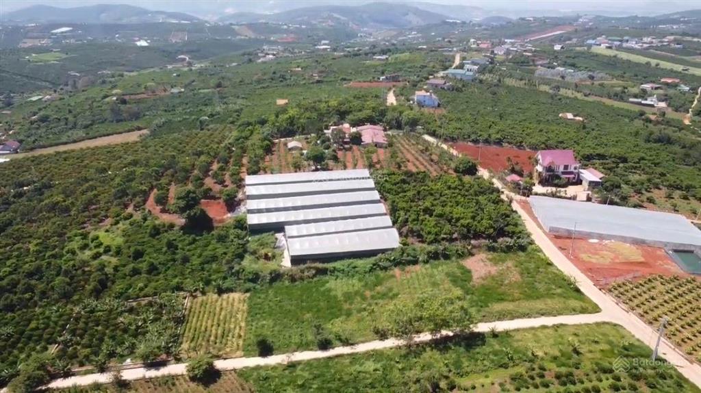Bán đất nền 34mx32m vuông vức, sẵn 100m thổ cư