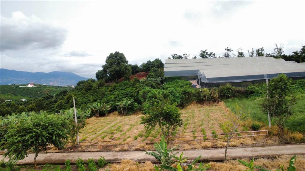 Bán đất nền 34mx32m vuông vức, sẵn 100m thổ cư
