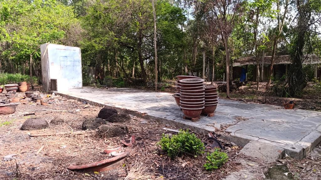 Bán đất 5000m2 tại thị trấn tân túc, 33 tỷ, bình chánh, hồ chí minh