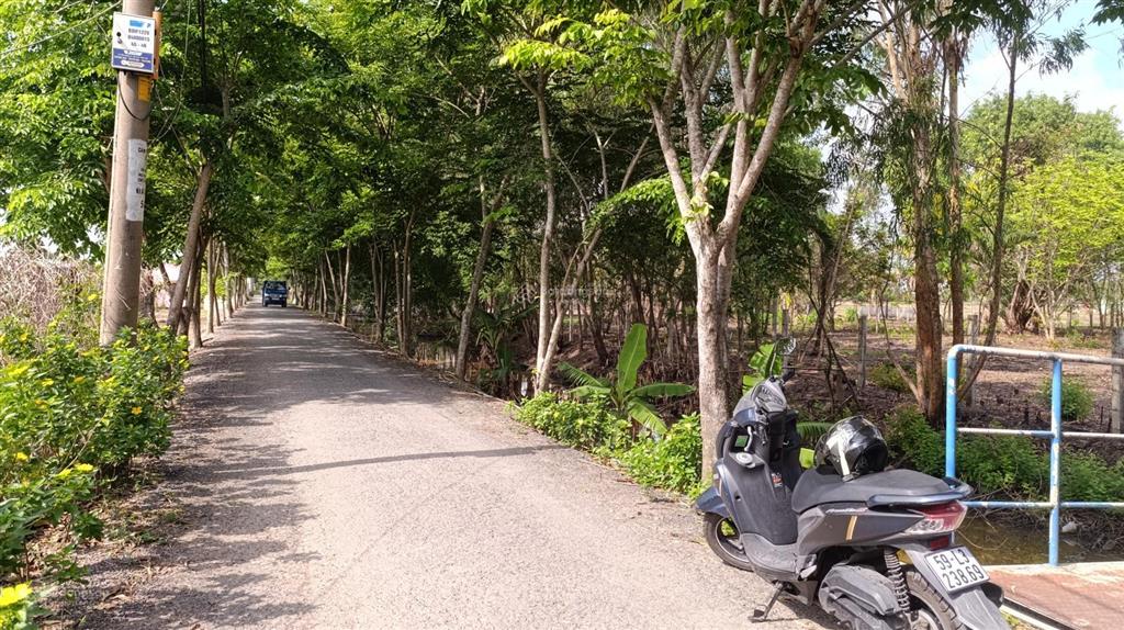 Bán đất 5000m2 tại thị trấn tân túc, 33 tỷ, bình chánh, hồ chí minh