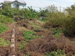 Cần bán nhanh lô đất ở tân kim cần giuộc diện tích 80m2 giá 530 triệu sổ hồng riêng ô tô tới đất