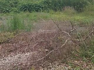 Chính chủ gửi bán lô đất 5x20m/100m2 sổ hồng riêng giá 610 triệu đường 3m ô tô cách ql50 chỉ 50m