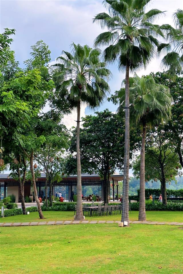 [ cho thuê ] căn hộ 1  2 pn swanbay