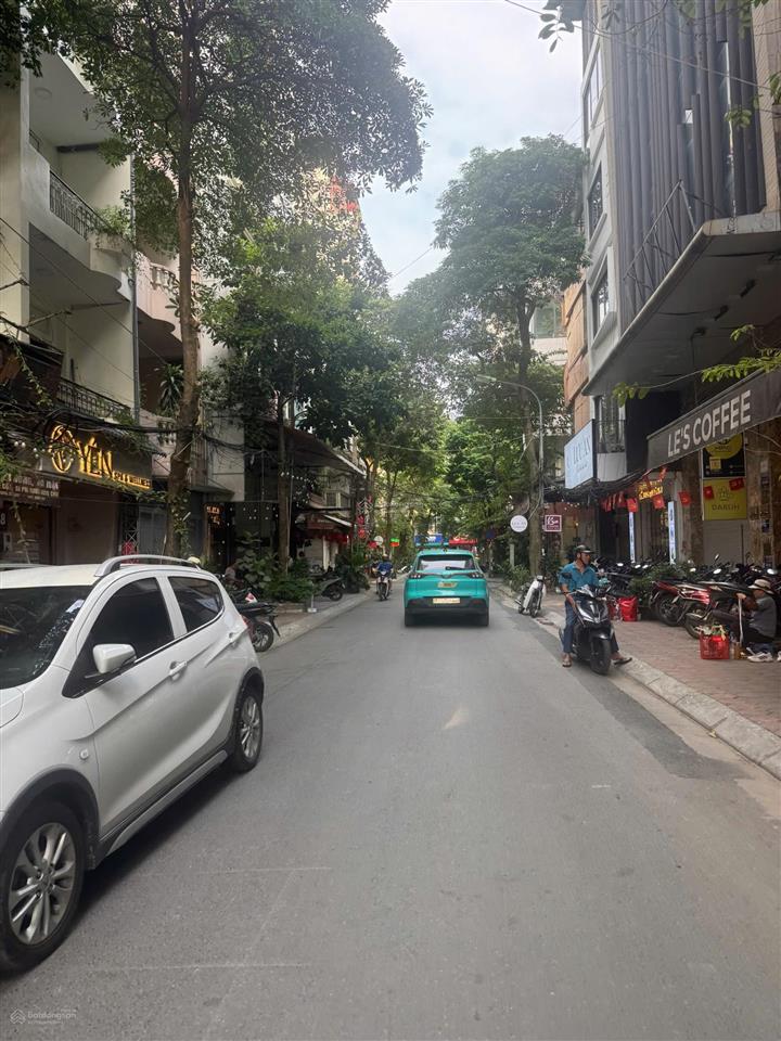 Huỳnh thúc kháng  48m2/21.5 tỷ  phân lô vỉa hè  5 tầng  mt5m  ô tô tránh ngõ thông kinh doanh