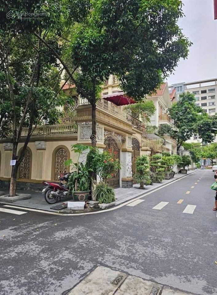 Biệt thự đơn lập khu lão thành cách mạng  160m2  79 tỷ  5 tầng  mặt tiền 14m  vị trí đẳng cấp