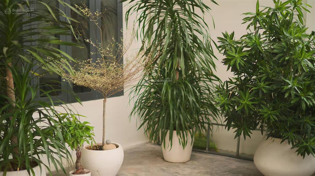 Chính chủ bán nhà hẻm trần phú, phường tuy hòa, đắk lắk (137m2  3,75 tỷ)
