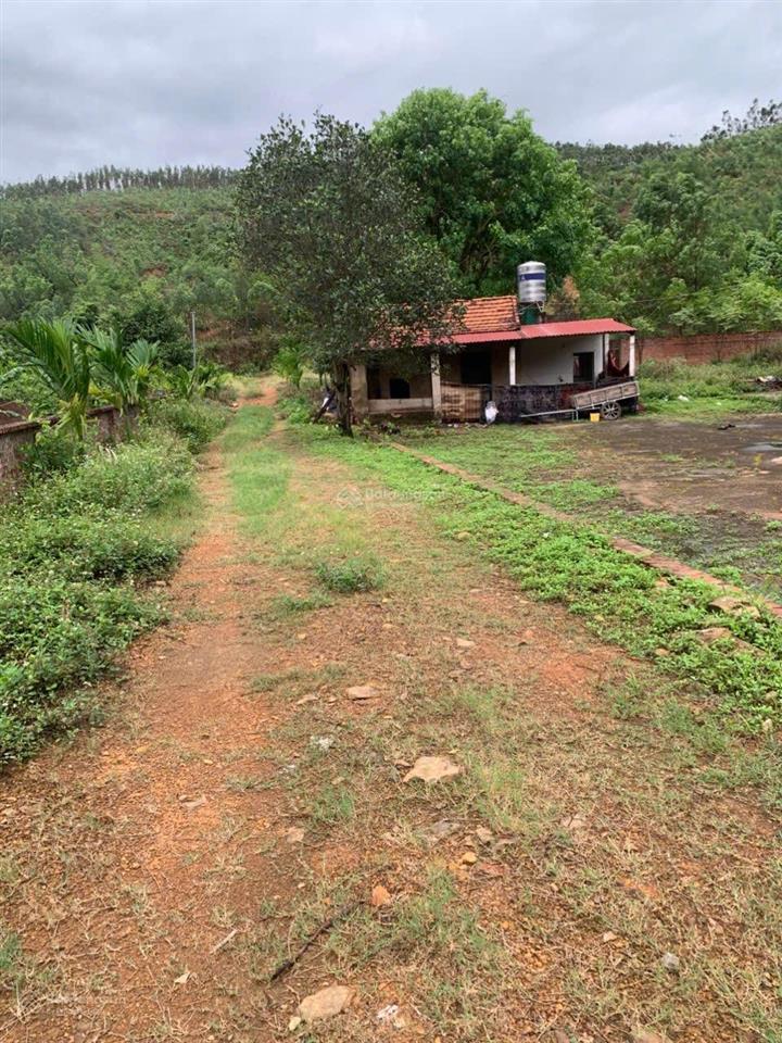 Bán đất tại xã trí yên, huyện yên dũng, bắc giang, 6,5 tỷ, 1420,9 m2