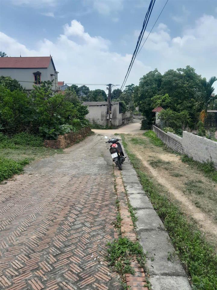 Bán đất tại xã trí yên, huyện yên dũng, bắc giang, 6,5 tỷ, 1420,9 m2