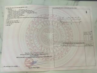 Bán nhanh đất khu dân cư xã hưng lộc, đồng nai đường 8m giá 1,1 tỷ