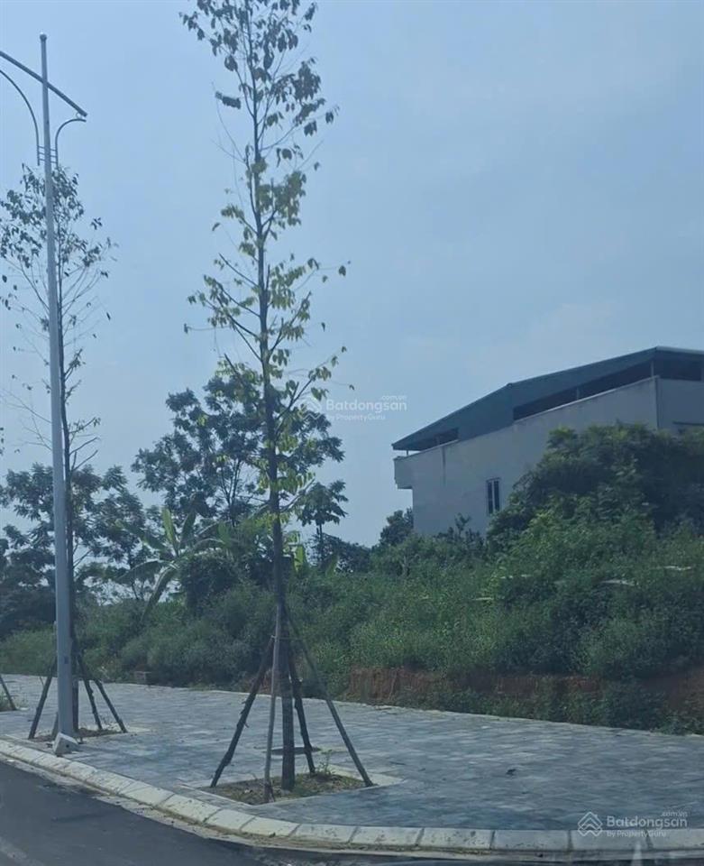 Cơ hội sở hữu nhanh ô đất đẹp tại ngã tư, đ.lê lợi,100m2, chính chủ. sdt 0915 779 *** (trung)