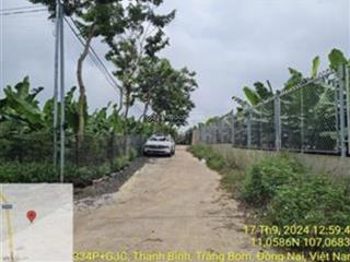 Chính chủ cần bán 7.261m² đất vườn đang trồng chuối, vị trí đẹp tại bàu hàm (xã thanh bình cũ)