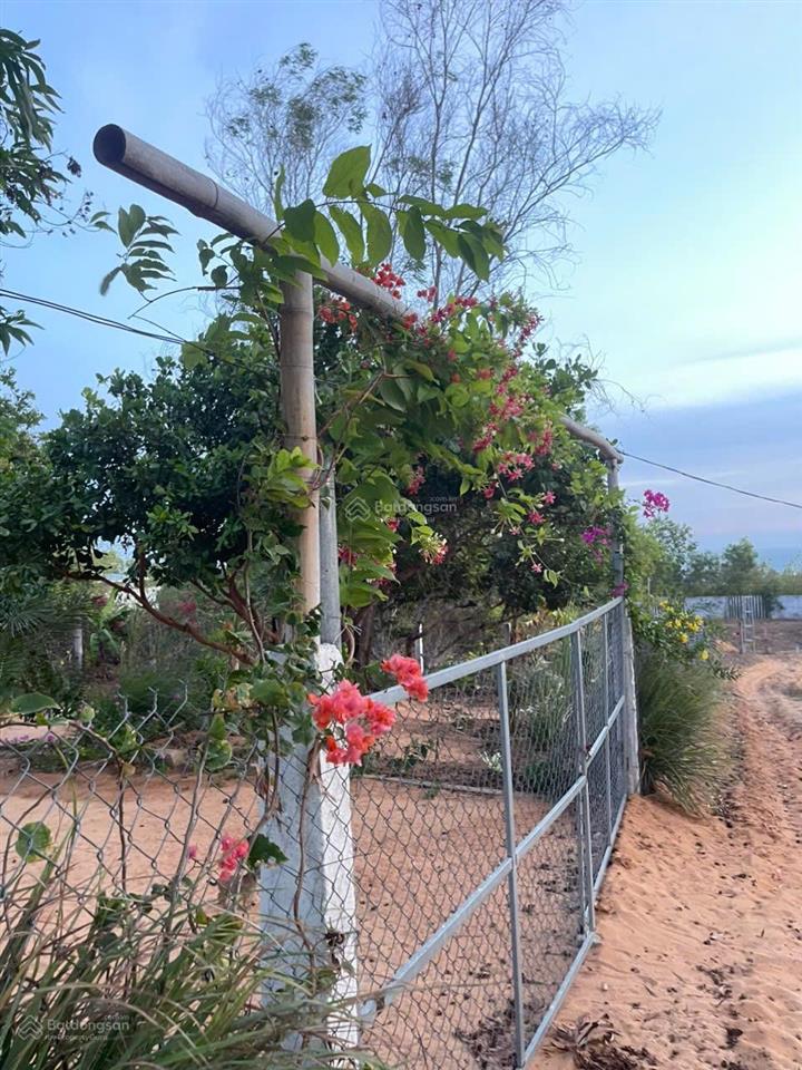 Đất vườn view biển mũi né phan thiết