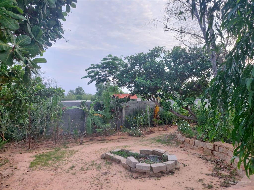 Đất vườn view biển mũi né phan thiết
