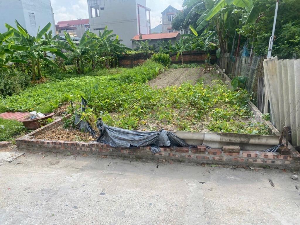 Xuân nộn đông anh gần 100m2  đường oto tránh  view hồ điều hoà khu vực đang phát triển
