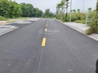 Bán đất đấu giá vân hà đông anh lô góc 3 mặt tiền 261m² ô tô tránh, giá 20.6 tỷ