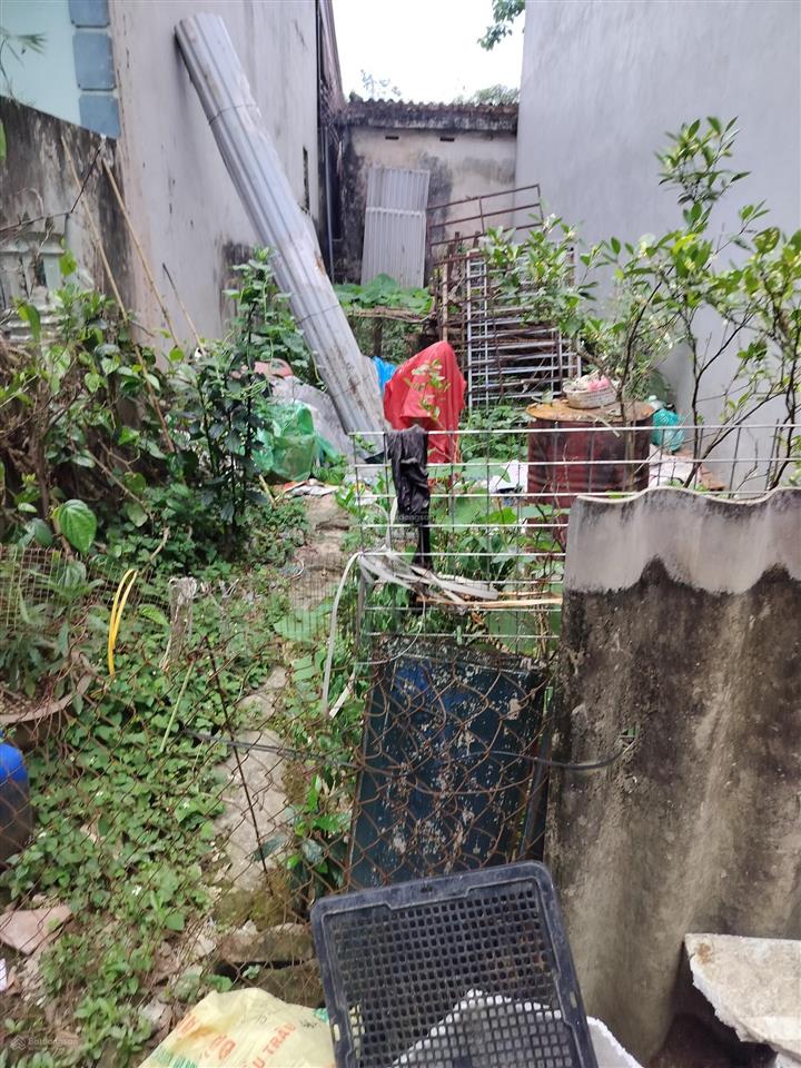 Bán 30m đất ngọc trục, mảnh đất đẹp còn sót lại, mt 4m ngõ nông gần ô tô giá chào 5 tỷ có tl