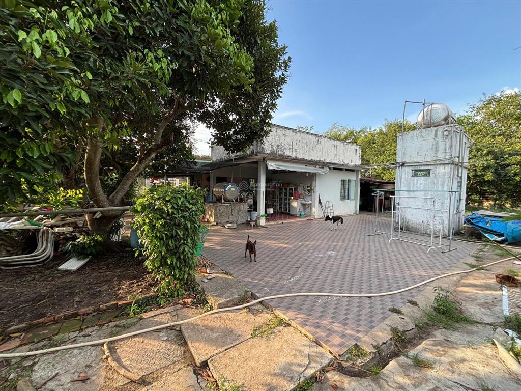 Chính chủ bán lô góc 2 mặt tiền 1.520,3m2 sẵn nhà vườn  nguyễn văn khạ, phú hòa đông, củ chi