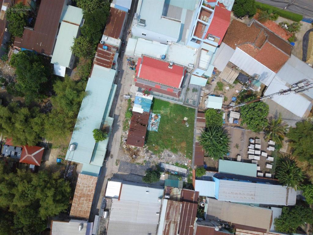 Thanh lý ngân hàng 5x16=81m2/giá 1.58tỷ tân hiệp, hóc môn, đất thổ cư 100%, xây tự do