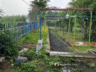 Bán nhà rộng, 12x44=546m2, phước thạnh, củ chi, gần ngã quốc lộ 22, sổ riêng, 960tr