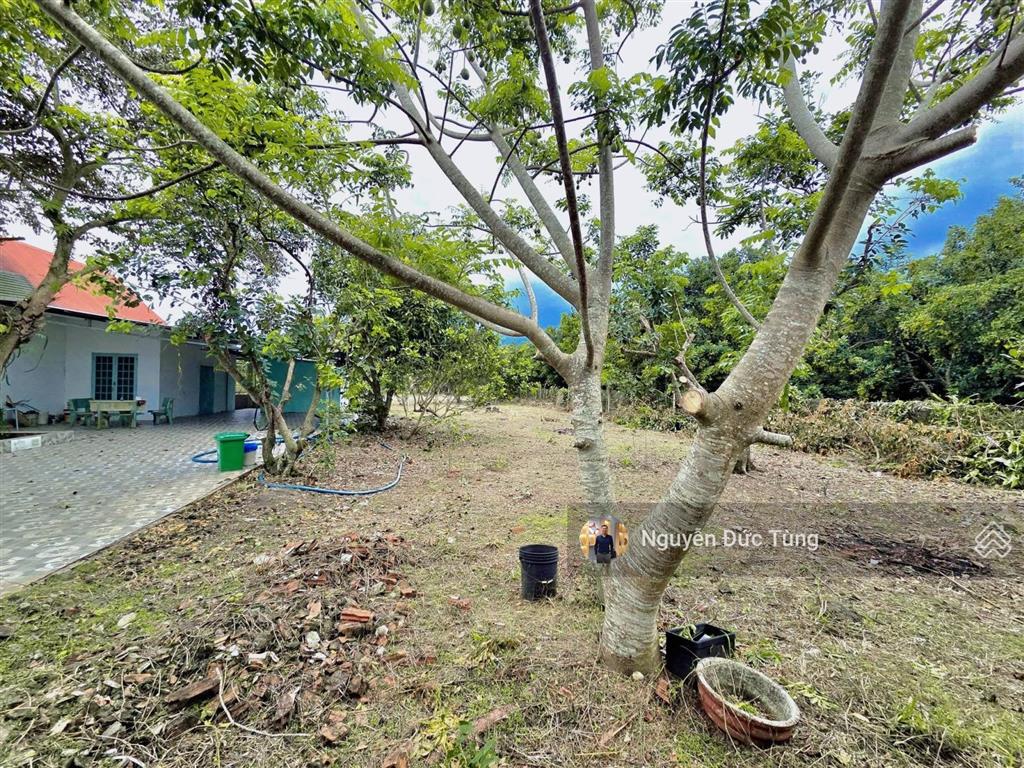 Bán nhà vườn, 12x48=600m2, 2 phòng ngủ, tân phú trung, củ chi, sổ riêng, 1.15 tỷ