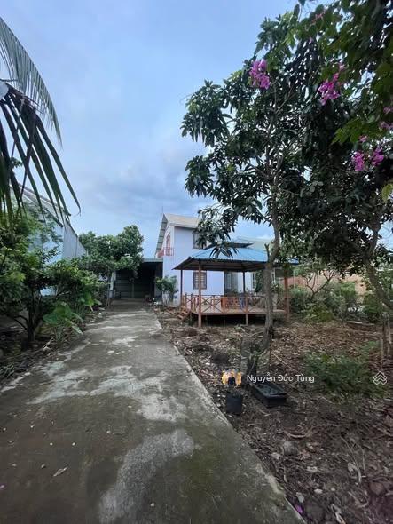 Bán gấp nhà + vườn, 12x41=515,8m2 thái mỹ, sổ riêng, đường 8m, không quy hoạch, 960triệu