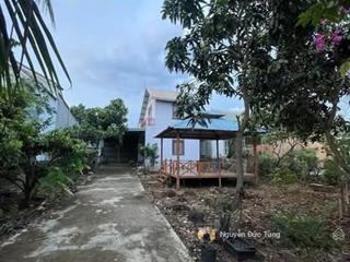 Bán gấp nhà + vườn, 12x41=515,8m2 thái mỹ, sổ riêng, đường 8m, không quy hoạch, 960triệu
