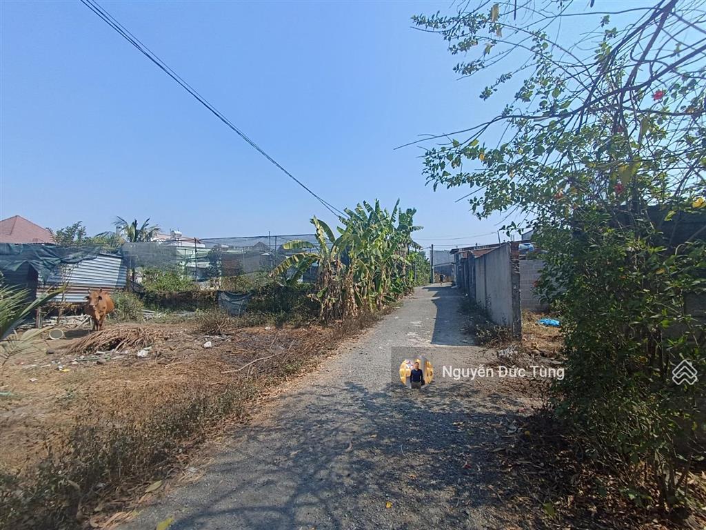 Tôi bán gấp lô đất 12x35=403,3m2 vị trí ub thái mỹ, sổ riêng, không quy hoạch, 920 triệu