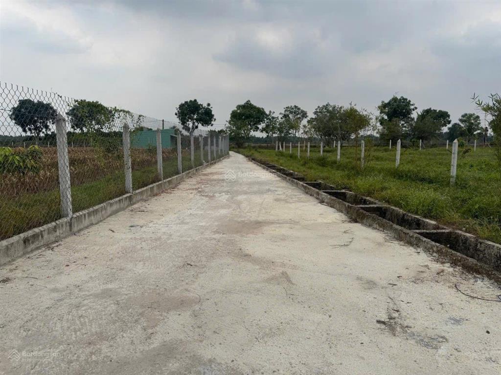 Bán gấp đất sổ riêng thái mỹ  tp hcm