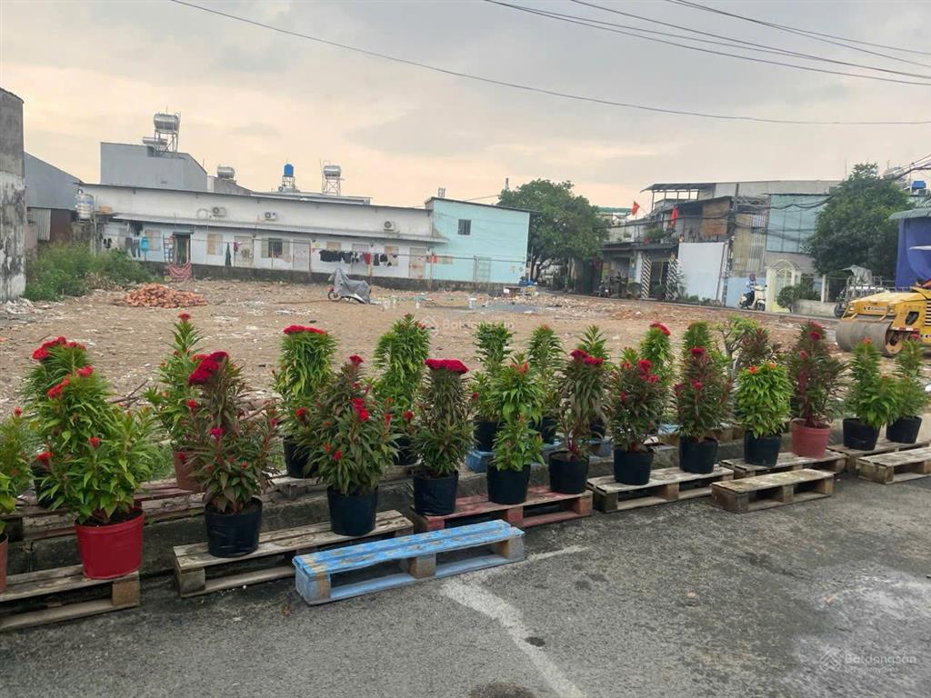 Chỉ 3,55 tỷ sở hữu đất 5x25 full thổ cư sổ riêng, đường nhựa 6m, xây ngay 4 tấm!