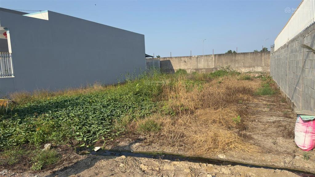 Chính chủ cần bán 300m2 đất thổ cư có tl giá tại xã long cang, cần đước, tây ninh (long an cũ)