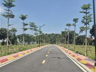 Đất phú cát hòa lạc giá chỉ 23 triệu/m² gần 4 trường đại học