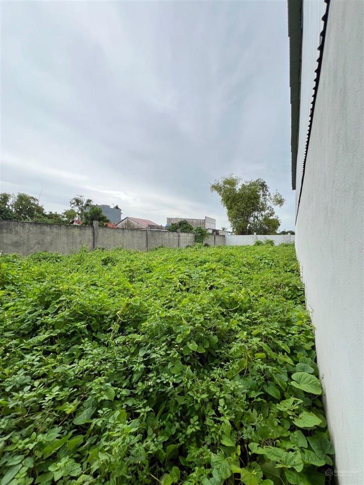 Bán đất bình chánh 1.435m2  thổ cư 1.248m2  có sẵn nhà xưởng 500m2 gần các trục đường chính.